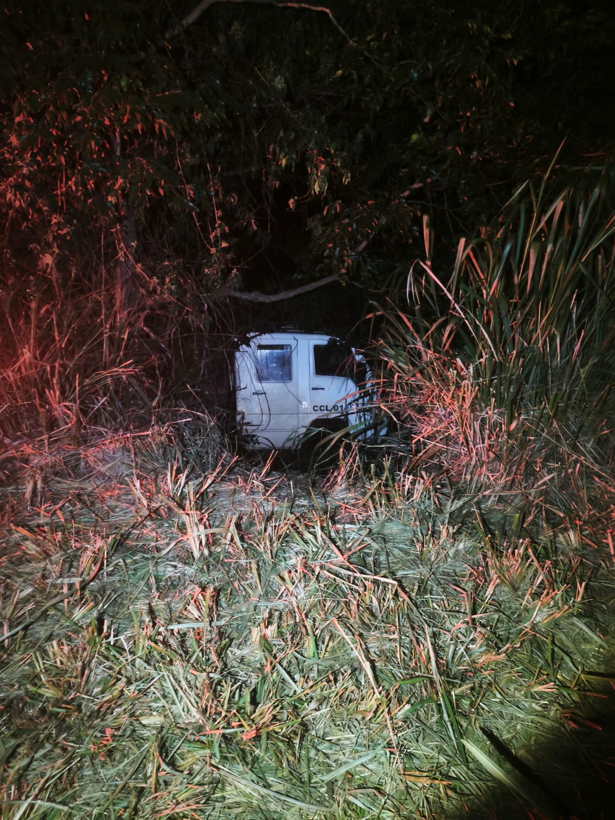 caminhao-sai-da-pista-e-motorista-fica-ferido-na-pr-239-em-iracema-do-oeste