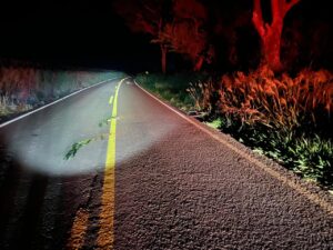 pedestre-morre-atropelado-na-prc-467-e-motorista-e-preso-por-embriaguez