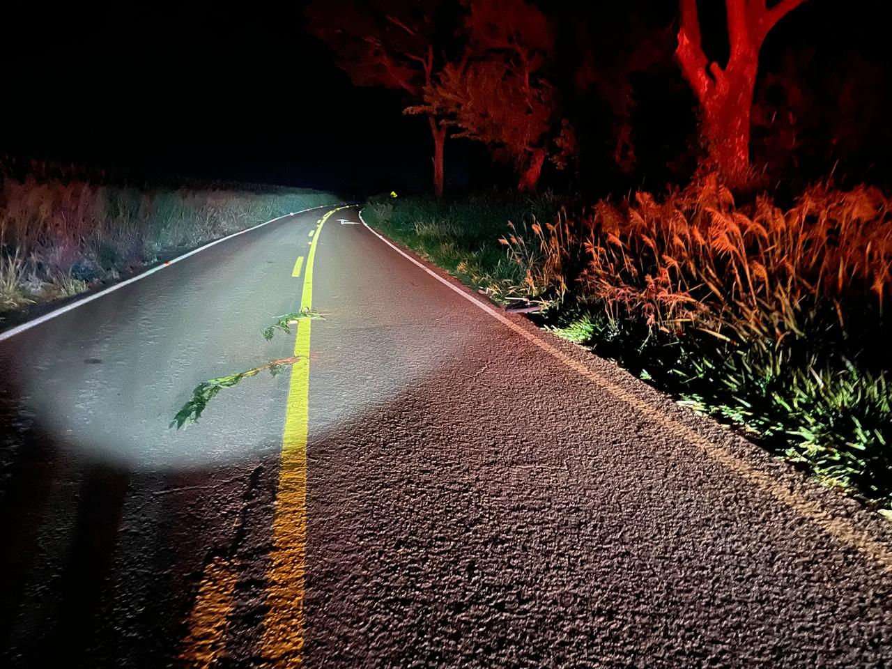 pedestre-morre-atropelado-na-prc-467-e-motorista-e-preso-por-embriaguez