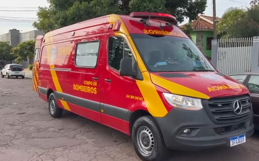 agente-da-defesa-civil-cai-de-escada-durante-remocao-de-enxame-em-cascavel