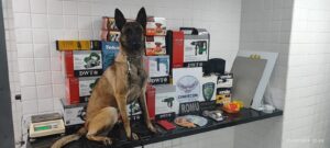 cinco-sao-detidos-por-trafico-de-drogas-e-receptacao-no-bairro-brasilia