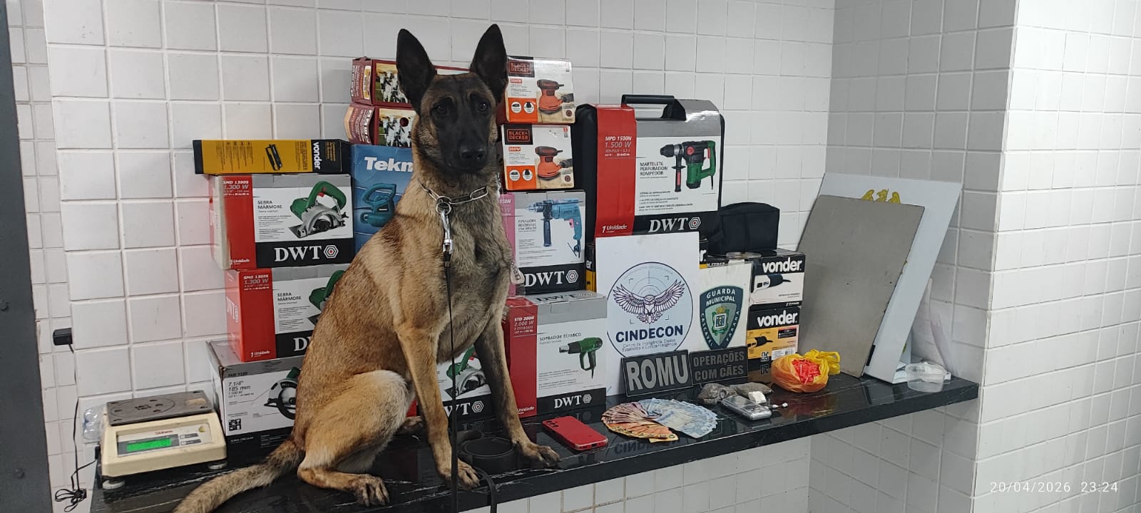 cinco-sao-detidos-por-trafico-de-drogas-e-receptacao-no-bairro-brasilia