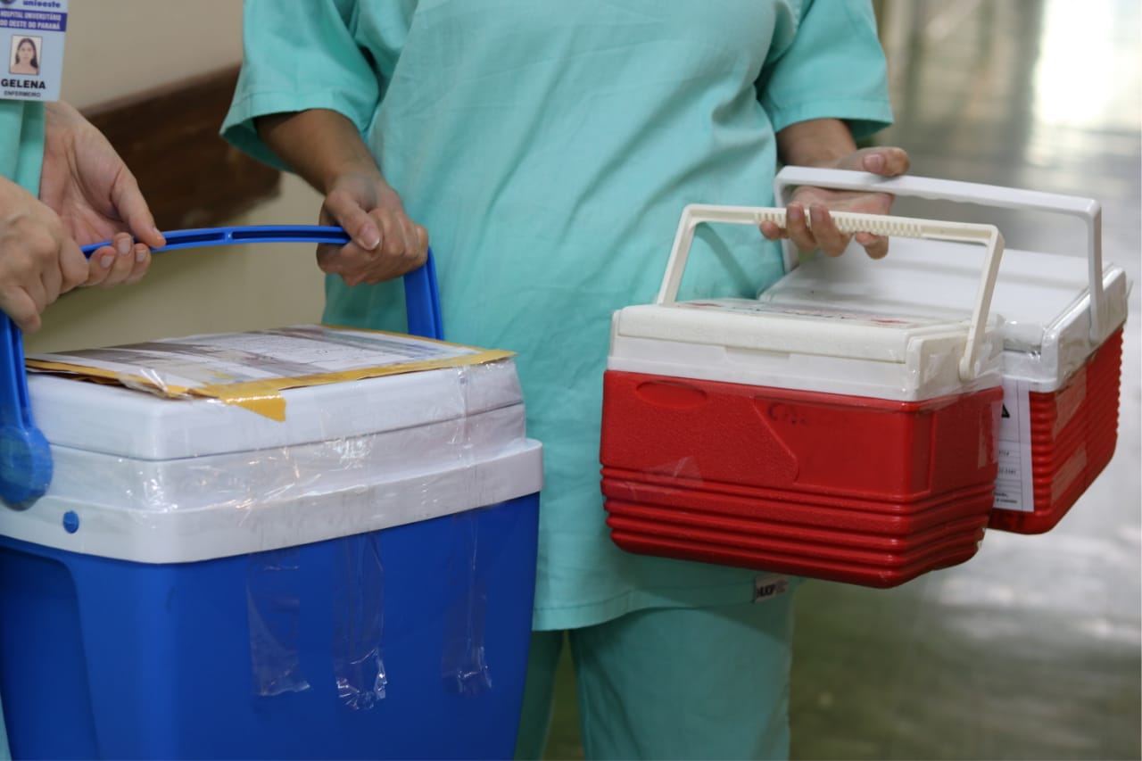 huop-faz-captacao-rara-de-pancreas-e-consolida-referencia-no-cenario-de-doacao-de-orgaos