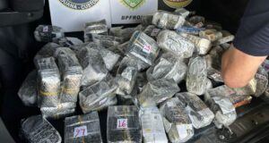 operacao-conjunta-apreende-us$-20-mil-em-anabolizantes-escondidos-em-hilux-na-br-277