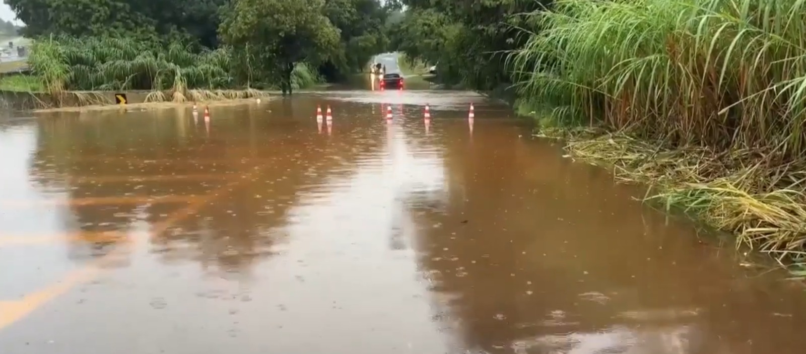 ciclista-e-arrastado-por-enxurrada-e-se-agarra-em-arvore-para-nao-se-afogar
