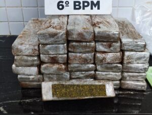 mulher-e-presa-com-quase-25-kg-de-maconha-em-onibus-na-rodoviaria-em-cascavel