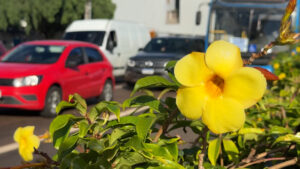 maio-amarelo-reforca-importancia-da-atencao-no-transito-em-cascavel