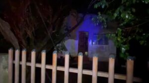 ventos-e-chuva-provocam-quedas-de-arvores-em-cascavel-durante-a-madrugada