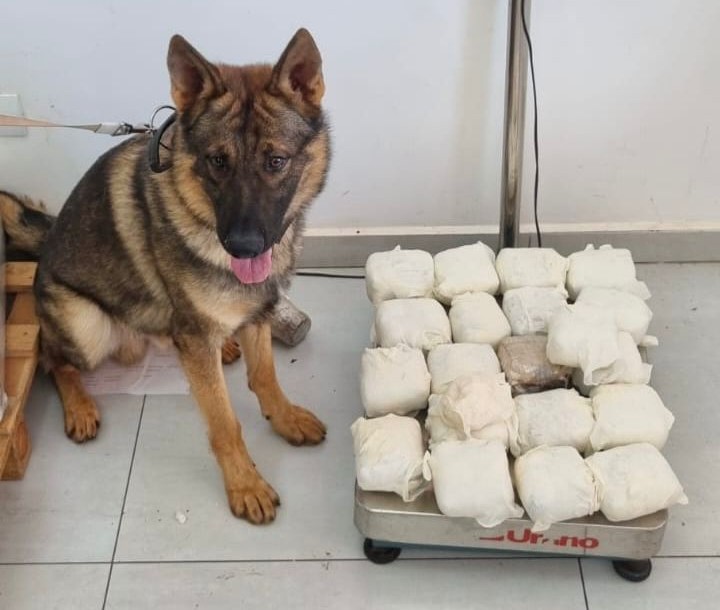 policia-civil-apreende-mais-de-11-quilos-de-haxixe-enviados-para-a-bahia-em-cascavel