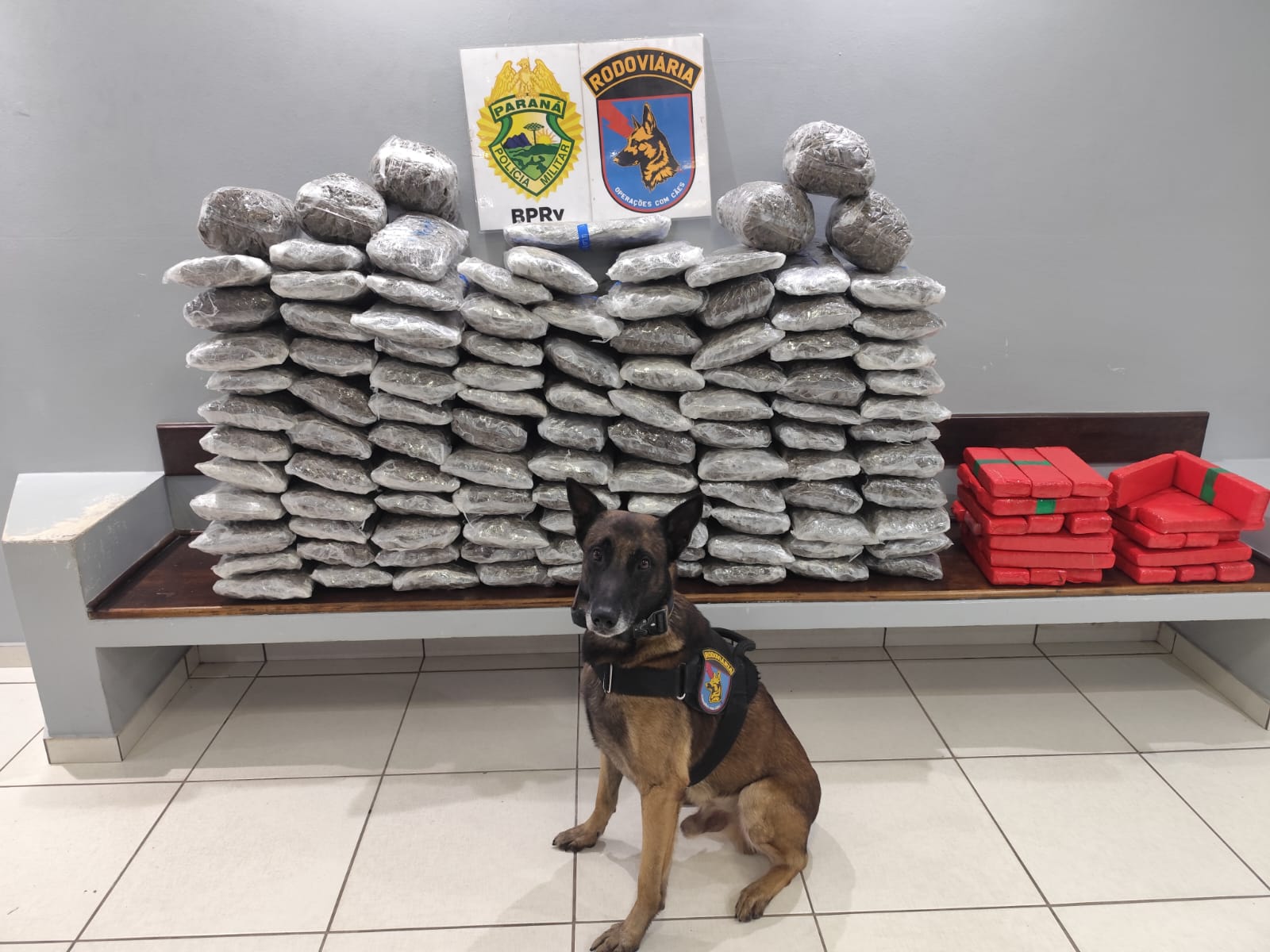 mais-de-130-quilos-de-drogas-sao-apreendidos-apos-perseguicao-na-br-277