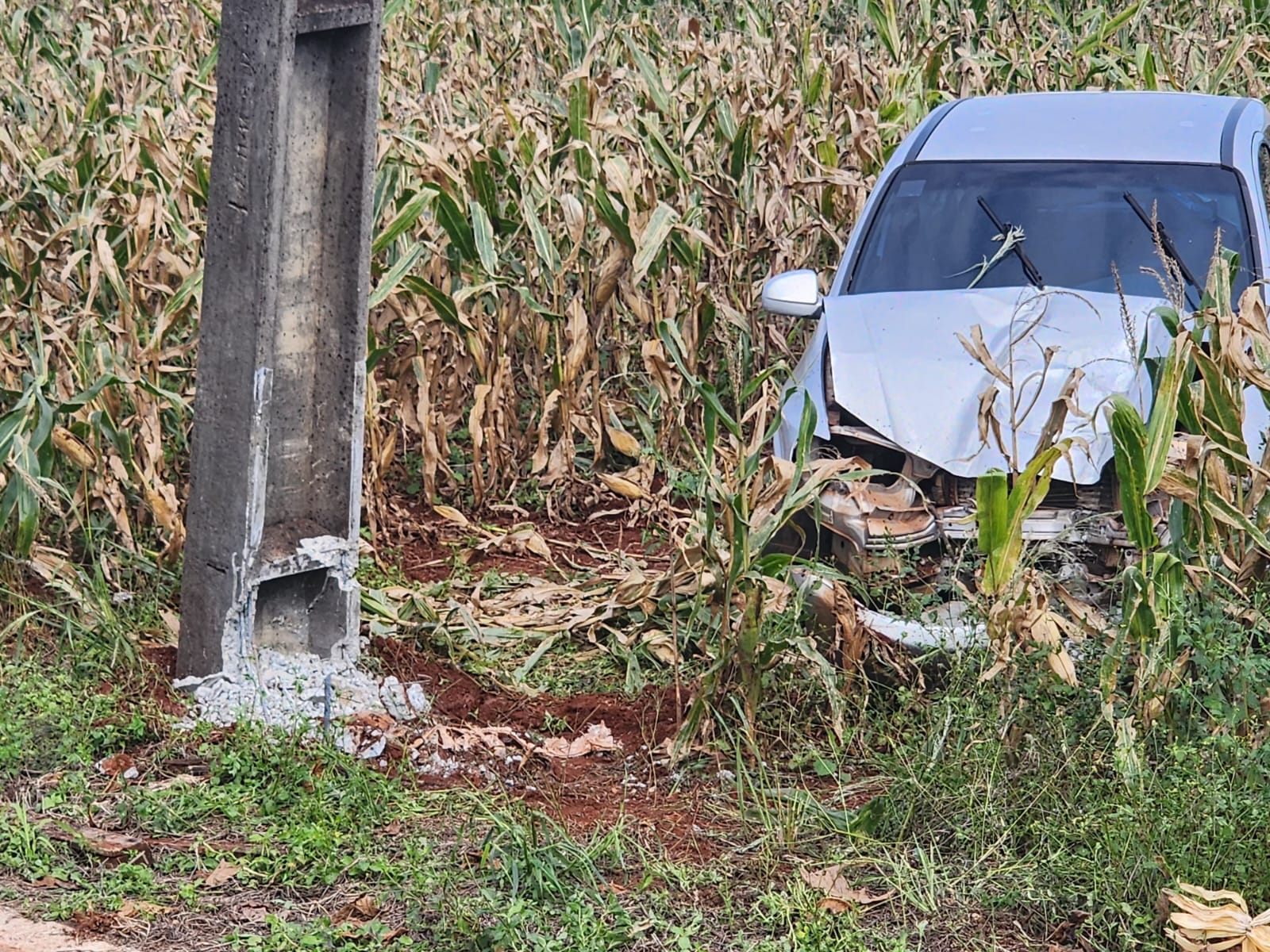 mulher-fica-ferida-apos-carro-sair-da-pista-e-bater-contra-poste-na-pr-488