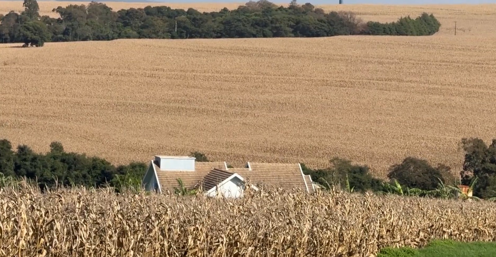 toledo-mantem-lideranca-e-reforca-forca-do-agronegocio-no-parana