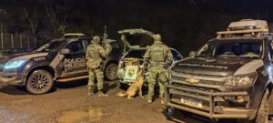 bpfron-prende-jovem-e-apreende-mais-de-230-quilos-de-maconha-em-nova-prata-do-iguacu