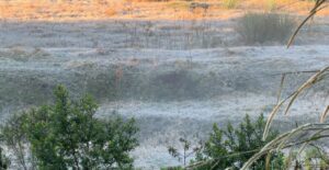 geada-cobre-cascavel-e-transforma-paisagem-com-chegada-de-frio-intenso