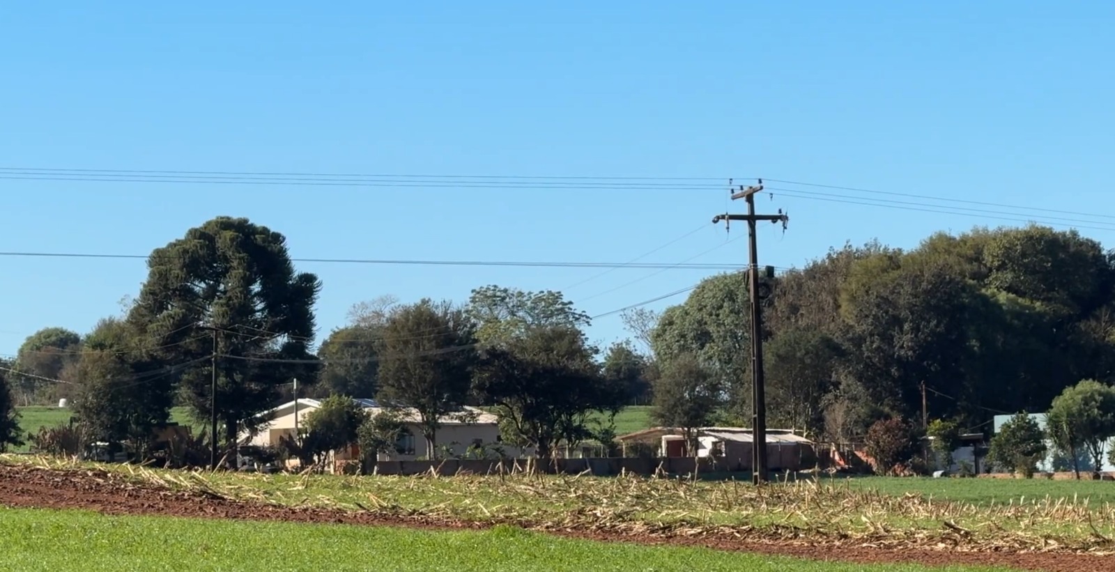 falta-de-energia-preocupa-moradores-e-produtores-rurais-de-cascavel-apos-dias-sem-luz