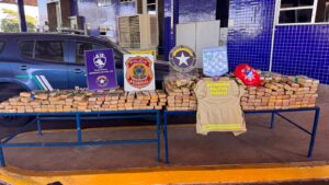 operacao-conjunta-apreende-cerca-de-500-kg-de-maconha-na-ponte-da-amizade