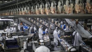 agro-do-parana-ultrapassa-r$-212-bilhoes de-faturamento-anual