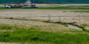 amazonia-apresenta-sinais-de-adaptacao-as-mudancas-climaticas