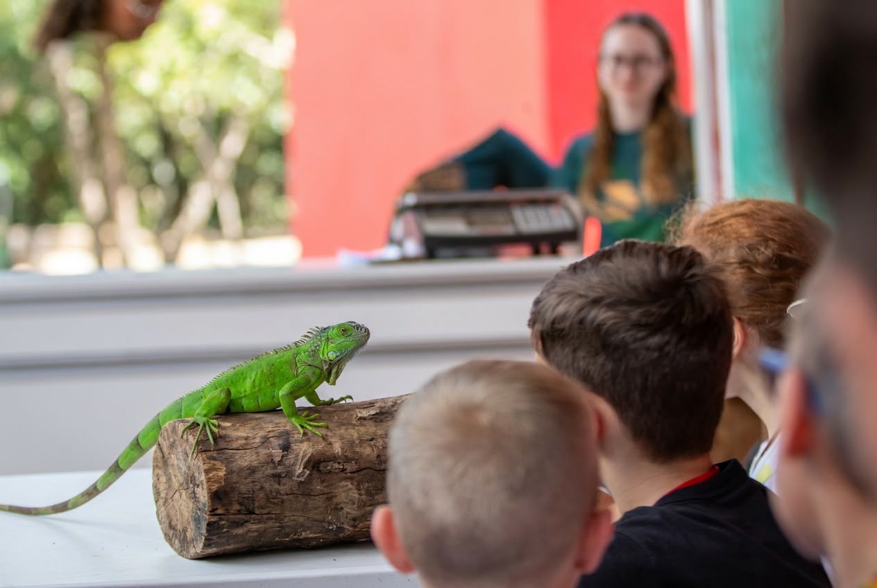 zoo-park-foz-lanca-experiencia-inedita-que-aproxima-visitantes-de-animais-silvestres
