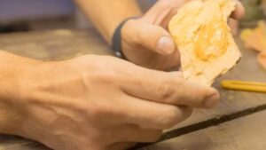 fossil-de-400-milhoes-de-anos-no-parana-revela-especie-anterior-aos-dinossauros