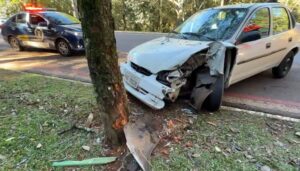 motorista-sofre-mal-subito-e-bate-violentamente-contra-arvore
