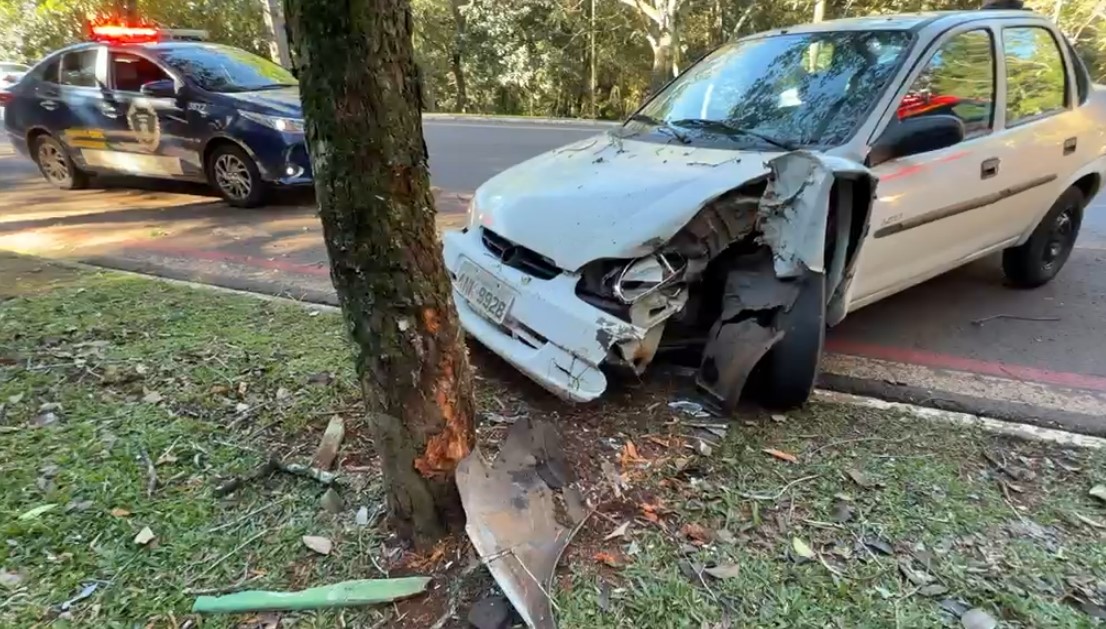 motorista-sofre-mal-subito-e-bate-violentamente-contra-arvore