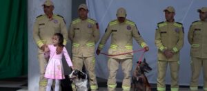 bombeiros-do-parana-sao-homenageados-apos-missao-de-resgate-na-venezuela