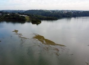 icms-ecologico-destinou-mais-de-r$-20-milhoes-ao-litoral-do-parana-em-2025