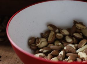 agricultura-familiar-do-nordeste-vai-a-maior-feira-mundial-alimentos