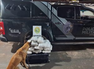 bpfron-apreende-mais-de-16-quilos-de-maconha-em-onibus-interestadual-em-ubirata