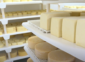 parana-concede-isencao-de-icms-para-queijo,-requeijao-e-doce-de-leite-artesanais