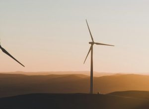 vento-sul-energia-recebe-licenca-para-construir-complexo-eolico-no-parana