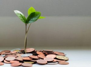 estimulo-origina-mais-de-r$-5,5-milhoes-para-empreendedores-do-parana