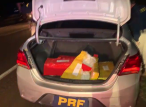 parana-lidera-apreensao-de-maconha-no-pais-e-causa-prejuizo-de-r$-767-milhoes-ao-crime-organizado