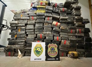 mais-de-duas-toneladas-de-maconha-sao-apreendidas-em-caminhao-carregado-com-soja-em-toledo