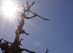 defesa-civil-reconhece-situacao-de-emergencia-em-13-estados-do-pais