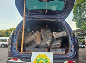 policia-militar-apreende-735-kg-de-maconha-e-recupera-veiculo-furtado-na-br-467
