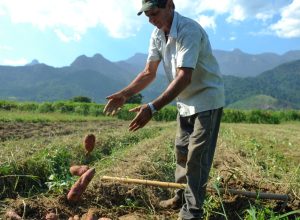 bndes-vai-liberar-r$-12-bi-para-produtores-rurais-com-perdas-de-safra
