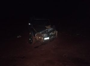 ao-tentar-desviar-de-cachorro,-carro-se-envolve-em-acidente-na-pr-239-em-nova-aurora