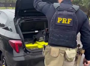 prf-apreende-mais-de-300-kg-de-maconha-apos-fuga-em-alta-velocidade-em-guarapuava