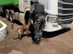 caminhao-e-vistoriado-apos-denuncia-de-transporte-de-ilicitos,-mas-nada-e-encontrado