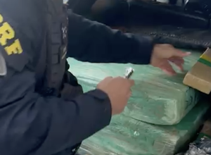 prf-apreende-mais-de-150-kg-de-maconha,-fuzil-e-municoes-de-fuzil-no-parana