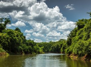 estado-brasileiro-e-itaipu-pedem-desculpas-ao-povo-ava-guarani