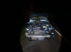 boi-cruza-a-pista,-e-atropelado-por-carro-e-morre-na-pr-182-em-maripa