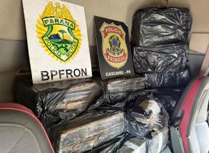 pf-e-bpfron-apreendem-maconha-que-estava-em-caminhao-bitrem-em-cascavel