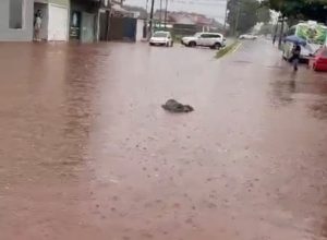 fortes-chuvas-causam-alagamentos-em-diversos-pontos-da-cidade-de-toledo
