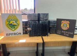 bpfron-e-policia-federal-apreendem-98,5-kg-de-maconha-as-margens-do-rio-parana