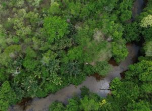 fronteira-cerrado:-ativistas-querem-bioma-“igualado”-a-amazonia