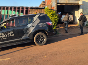 policia-civil-divulga-balanco-da-operacao-apis-em-cascavel