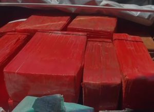 prf-apreende-mais-de-600-quilos-de-maconha-na-br-277,-em-guarapuava